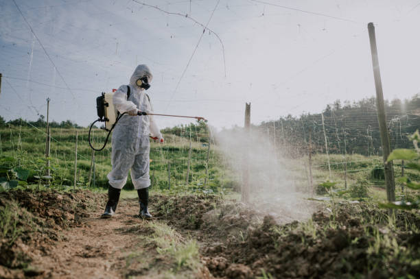 Best Pest Control Cost  in Morehead, KY