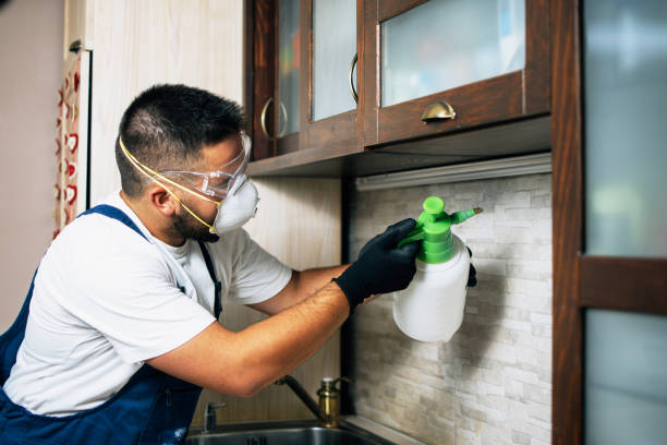 Morehead, KY Pest Control Company