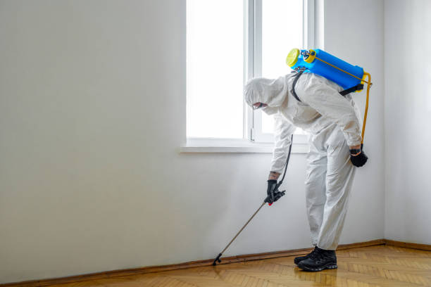 Best Wasp Removal Services  in Morehead, KY