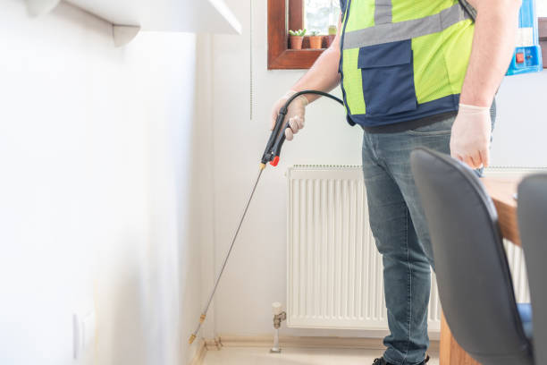 Best Flea Control Services  in Morehead, KY