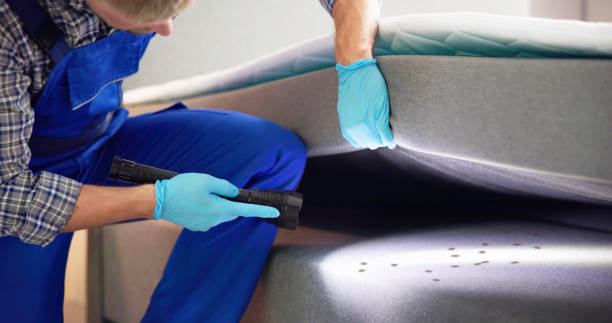 Best Exterminator Services  in Morehead, KY