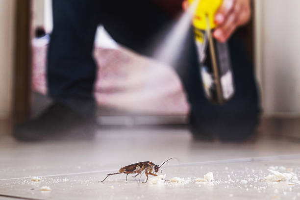 Pest Control Cost in Morehead, KY