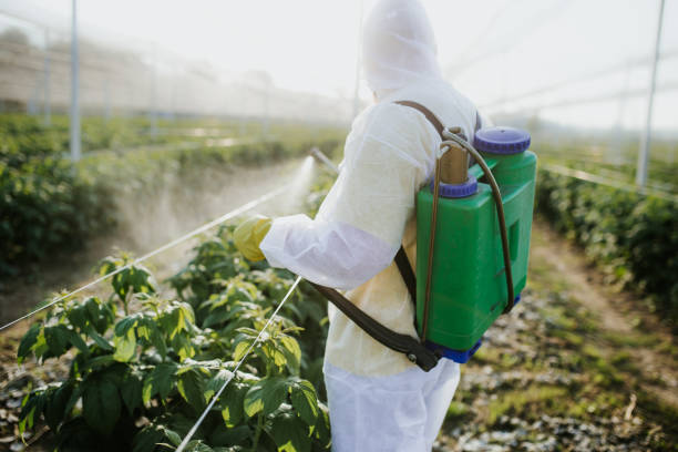 Best Pest Control Near Me  in Morehead, KY